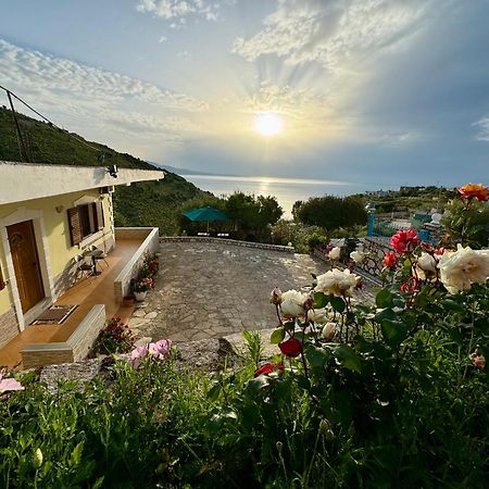 Vila Paza Σαράντα Εξωτερικό φωτογραφία
